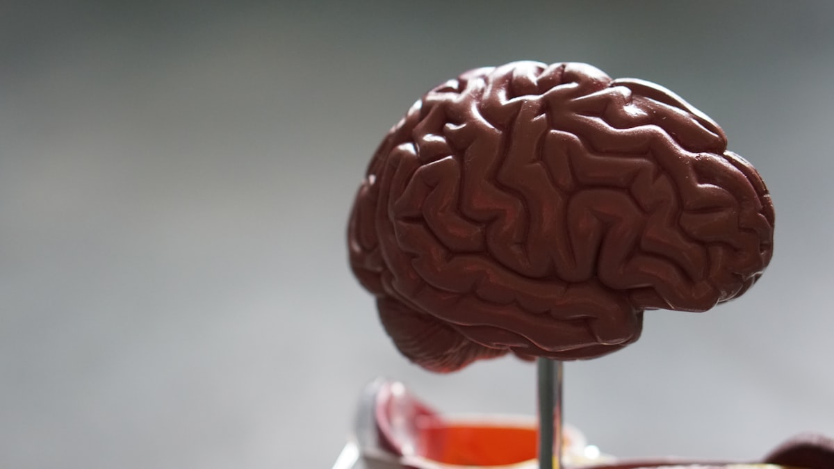 Bristol Myers Squibb Builds an Nvidia-Powered AI Factory to Speed Up Drug Discovery